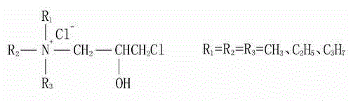 Modified cellulosic fiber