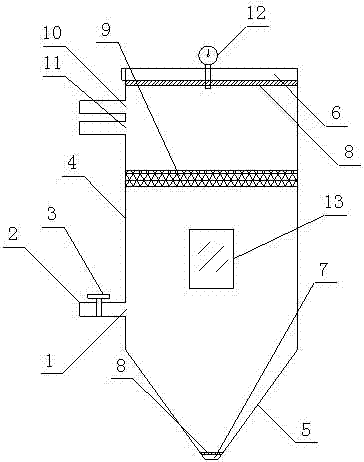 Device and method for silkworm cocoon vacuum penetration treatment
