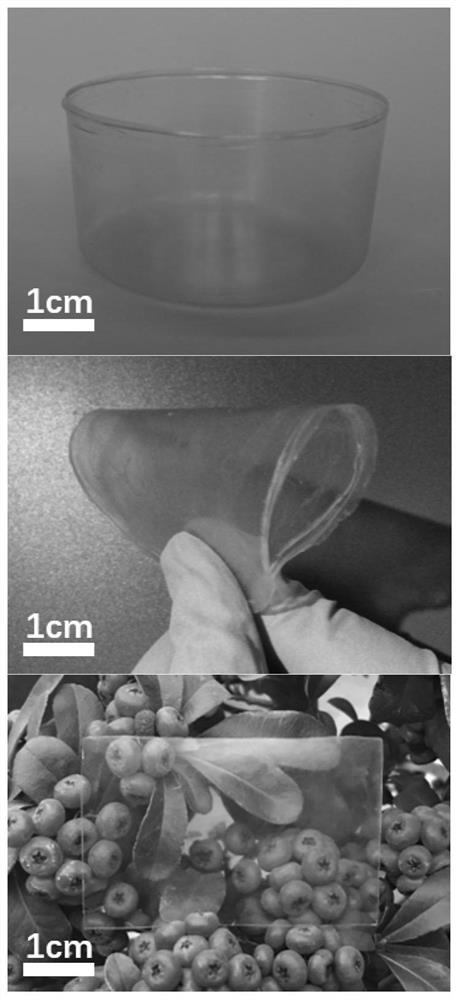 Method for rapidly and continuously preparing high-toughness natural polymer bioplastics