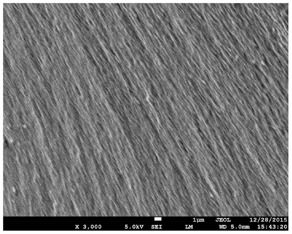 Method for rapidly and continuously preparing high-toughness natural polymer bioplastics