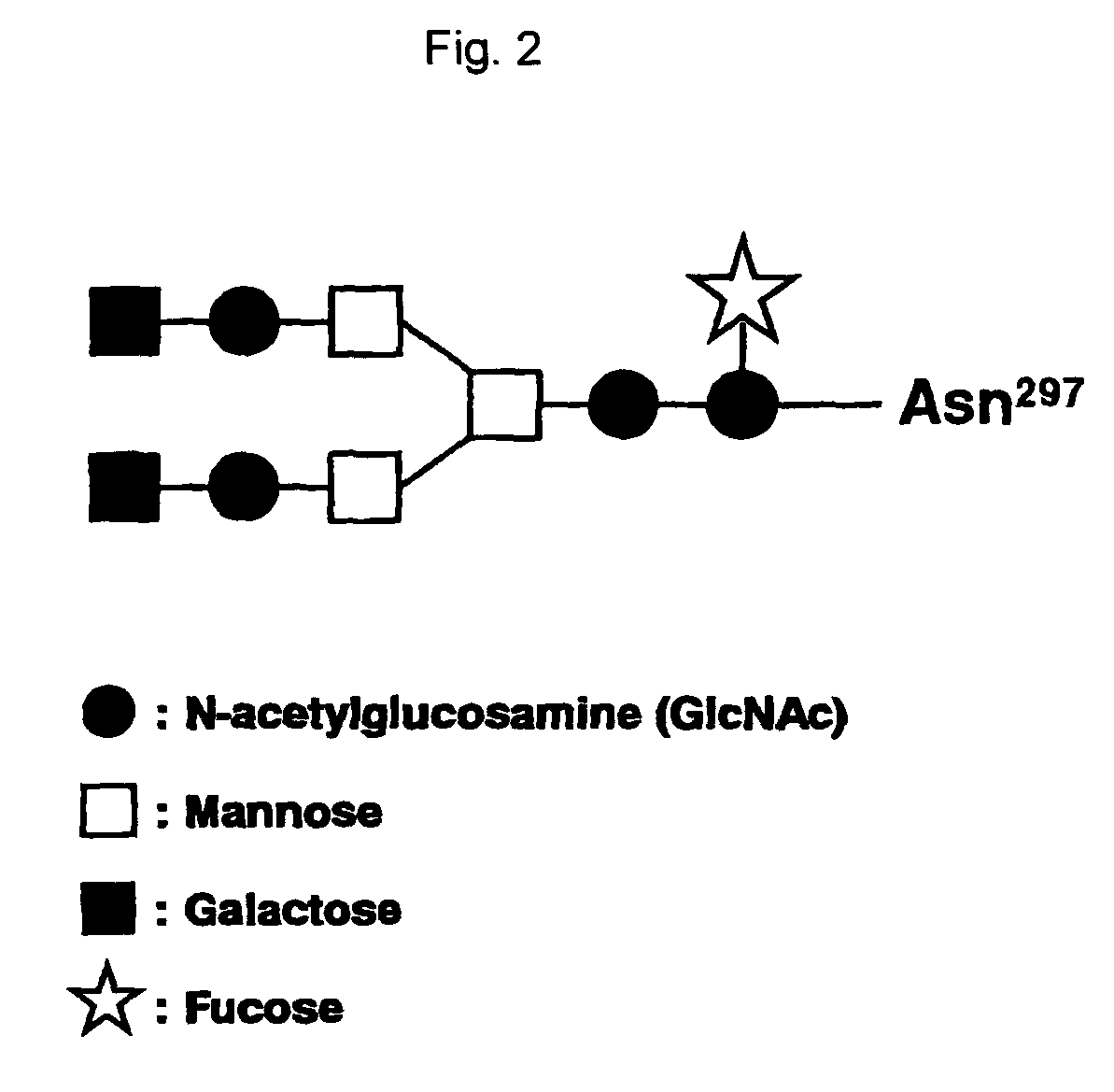 Recombinant antibody composition