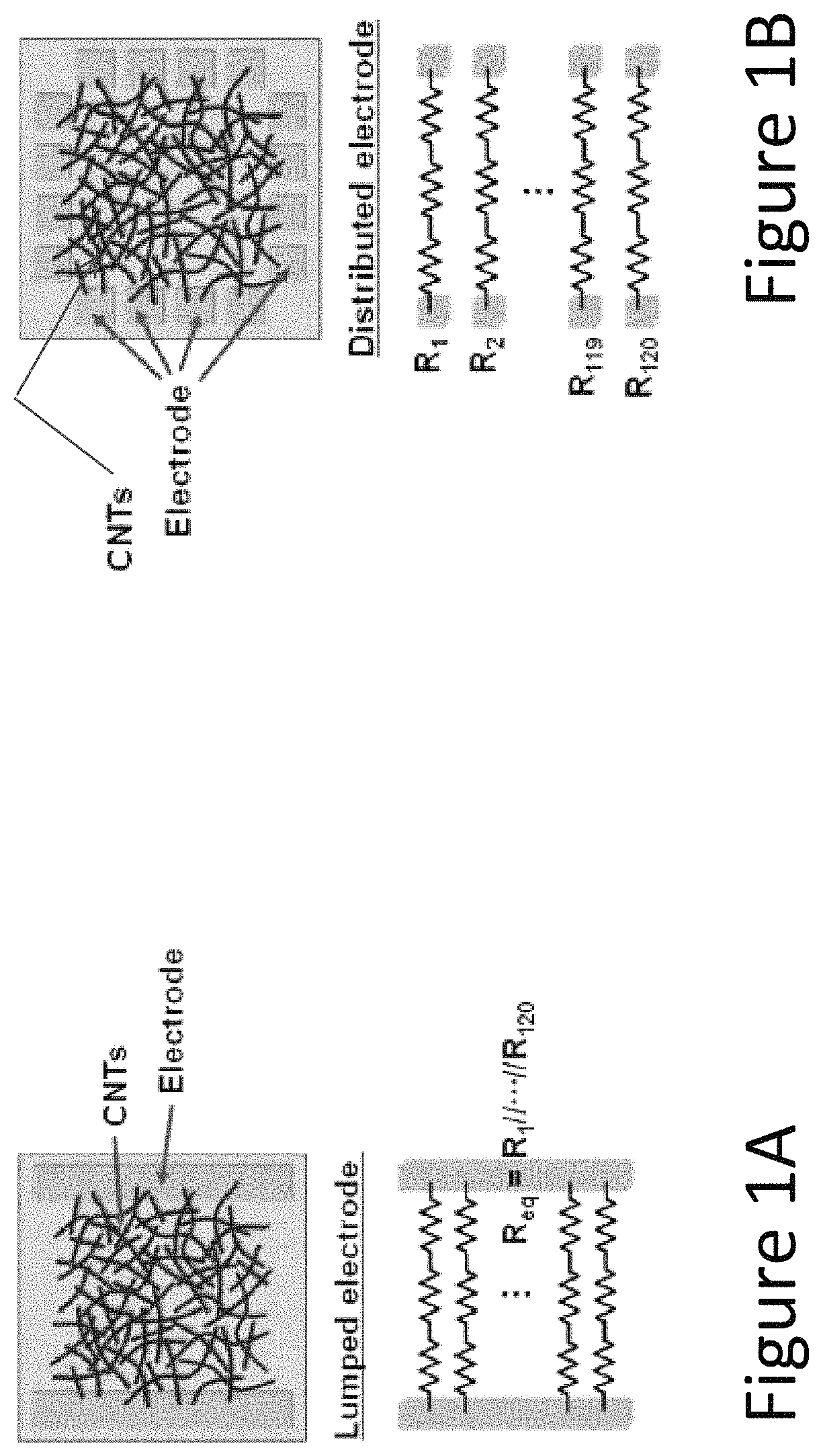 Physically unclonable all-printed carbon nanotube network