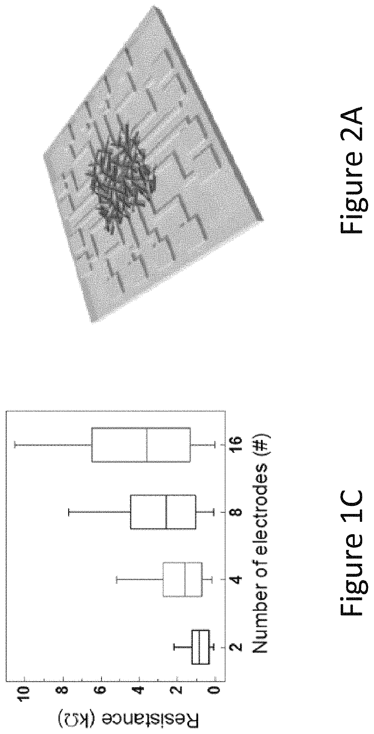 Physically unclonable all-printed carbon nanotube network