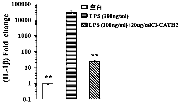 A kind of domestic pigeon cathelicidin-cl-cath2 peptide and its gene and application