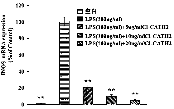 A kind of domestic pigeon cathelicidin-cl-cath2 peptide and its gene and application