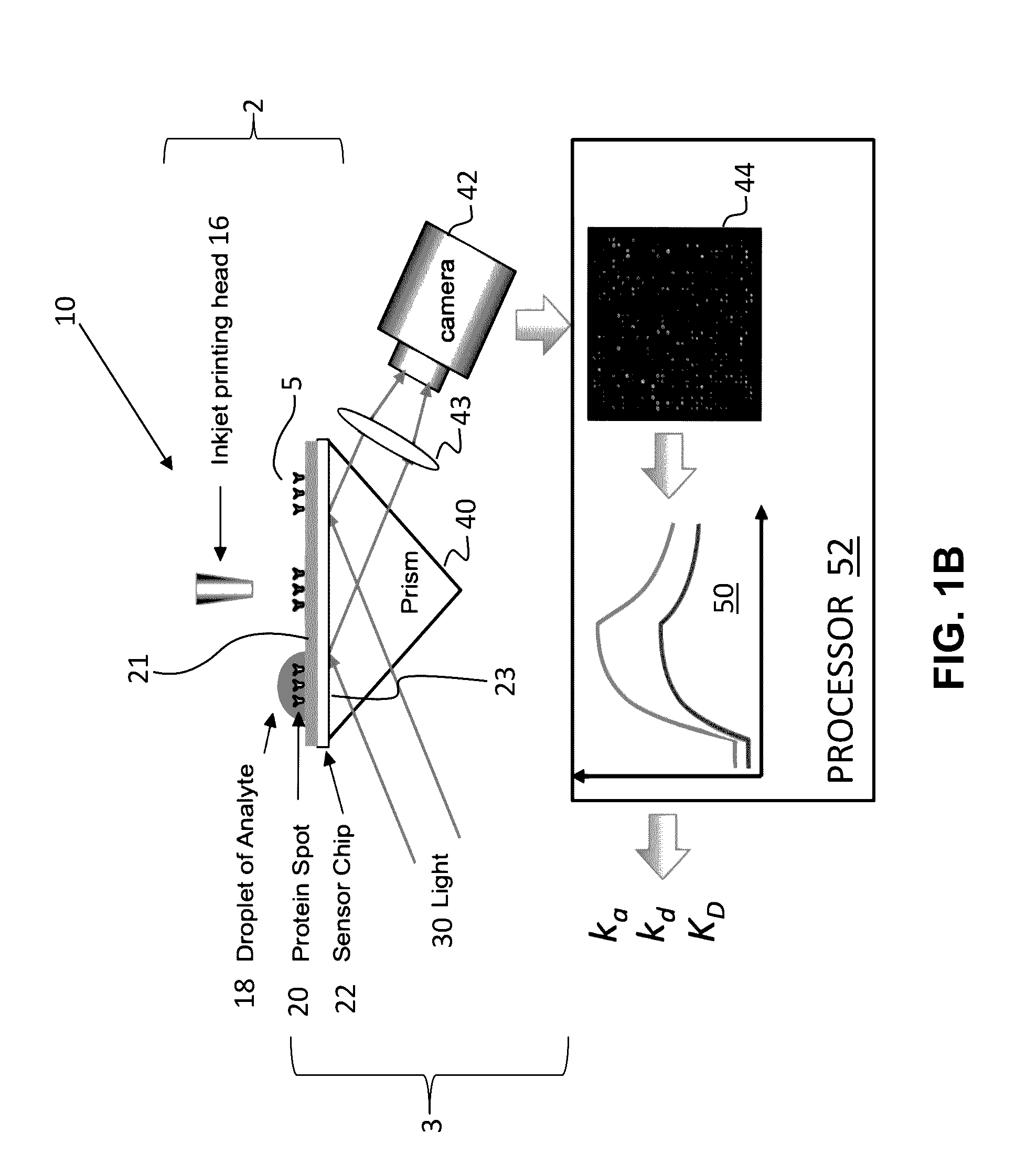 Integrated microarray printing and detection system for molecular binding analysis