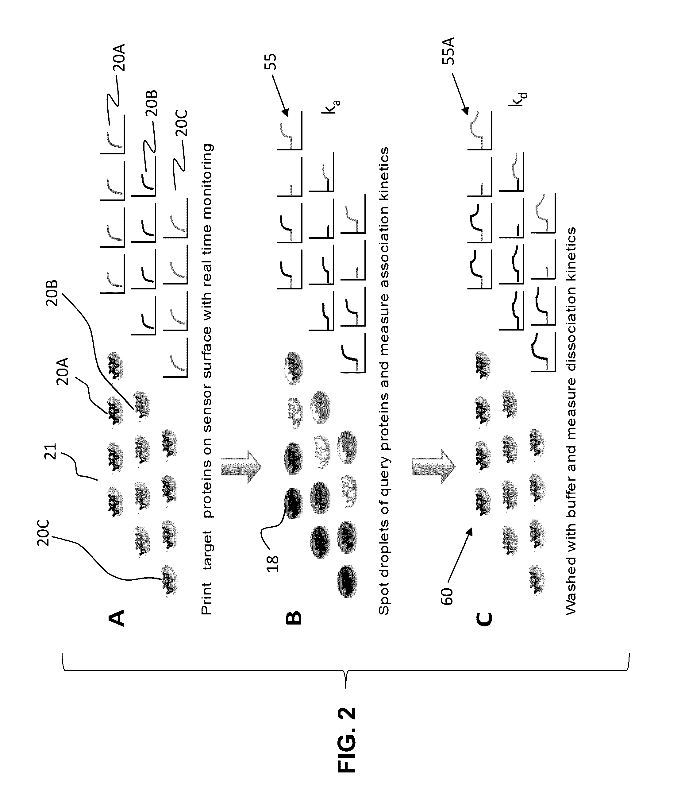 Integrated microarray printing and detection system for molecular binding analysis