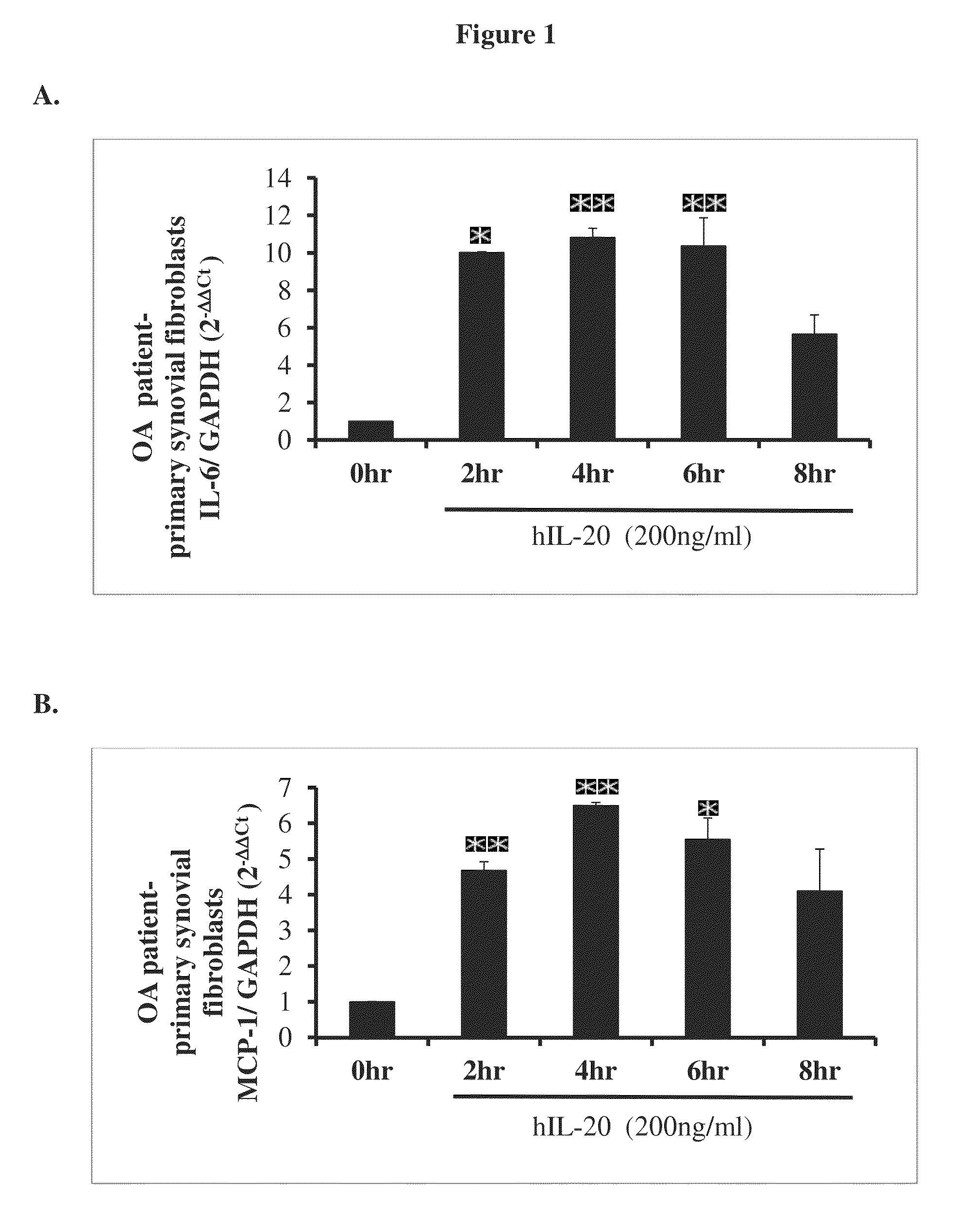 Treatment of osteoarthritis using IL-20 antagonists