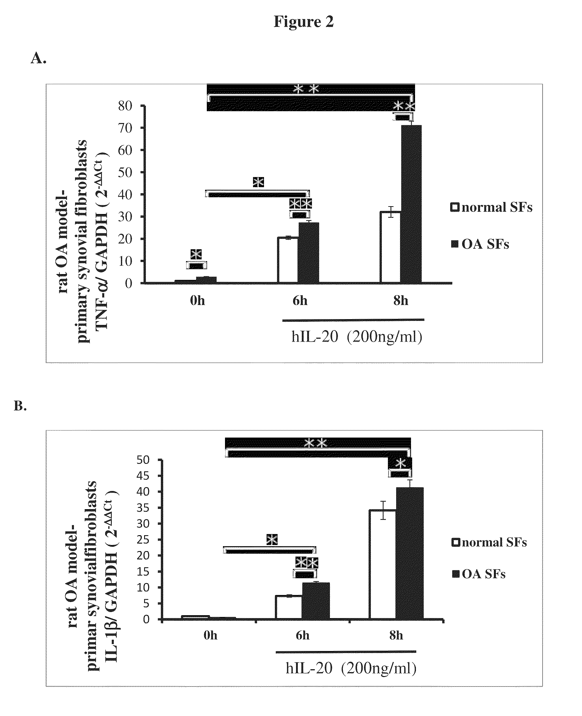 Treatment of osteoarthritis using IL-20 antagonists