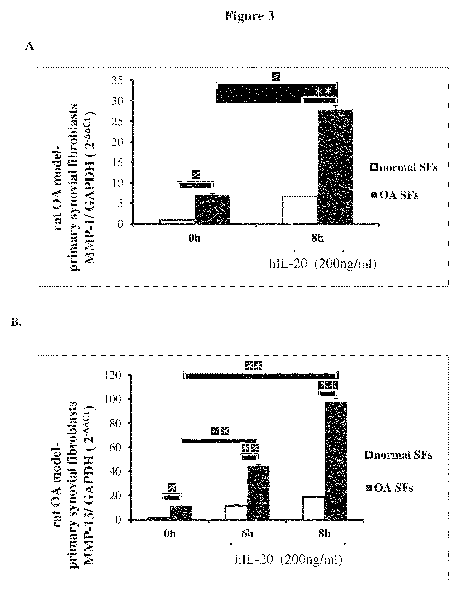 Treatment of osteoarthritis using IL-20 antagonists