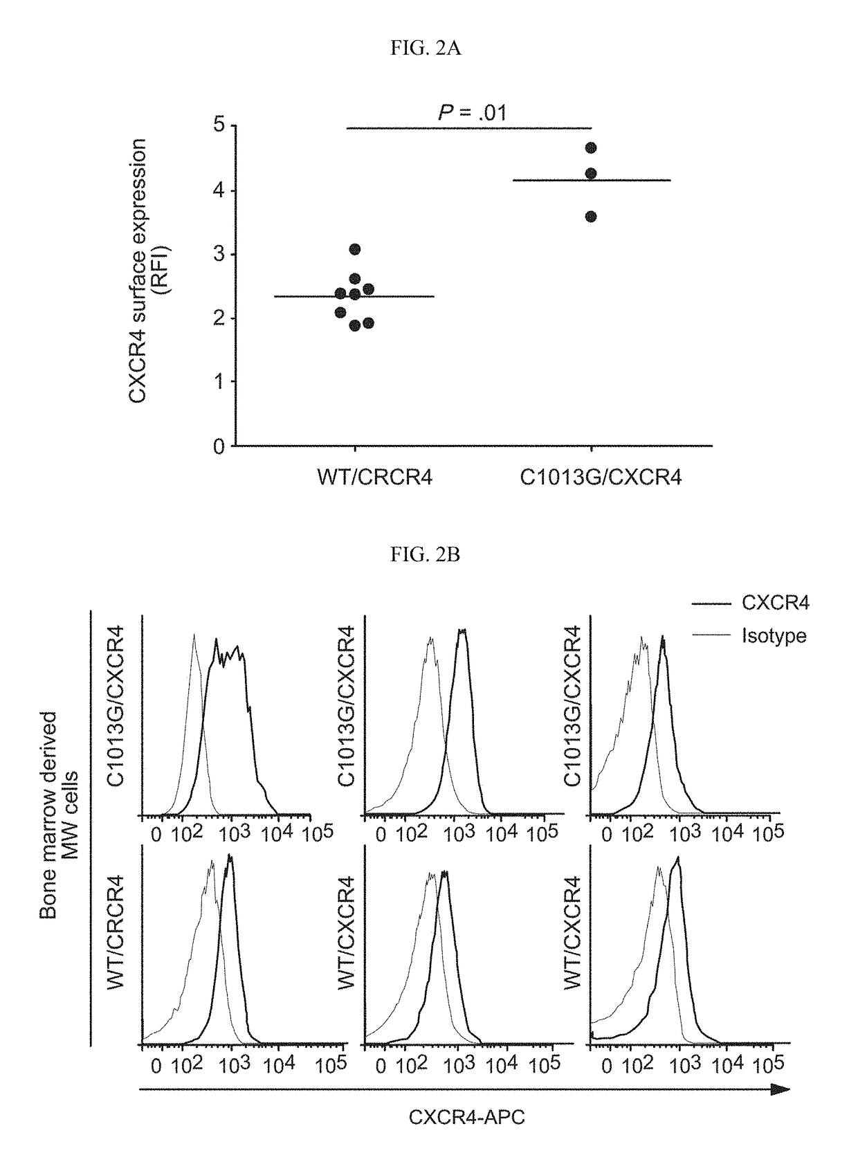 Treatment of C1013G/CXCR4-associated waldenstroöm's macroglobulinemia with an anti-CXCR4 antibody