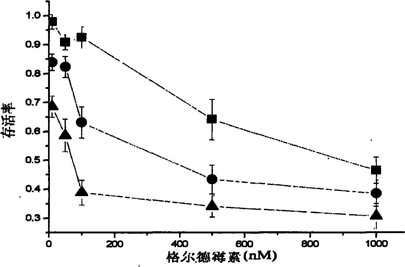 Medicinal composition having tumor-resistant synergy