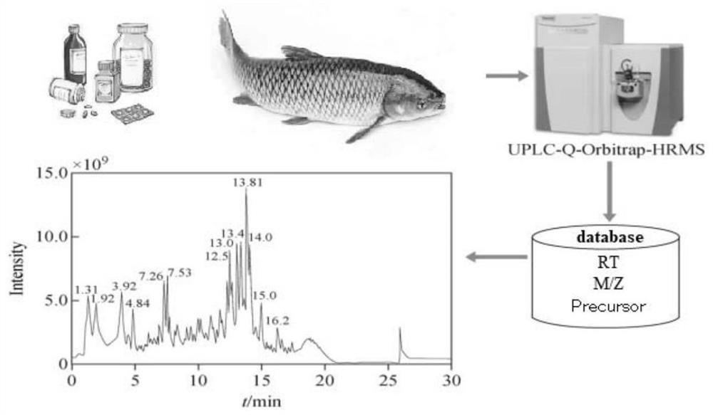 Method for detecting veterinary drug residues in fish meat