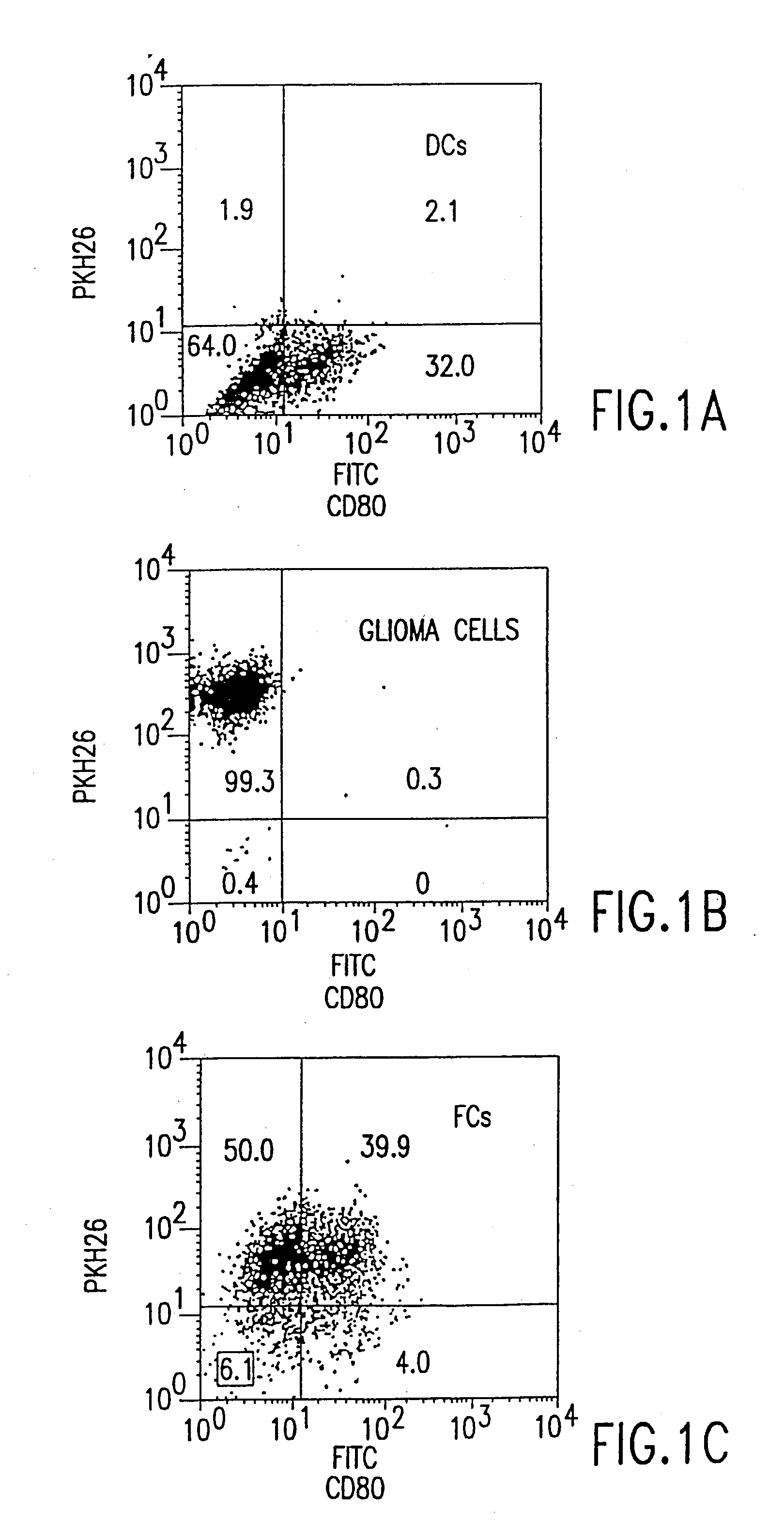 Combined immunotherapy of fusion cells and interleukin-12 for treatment of cancer