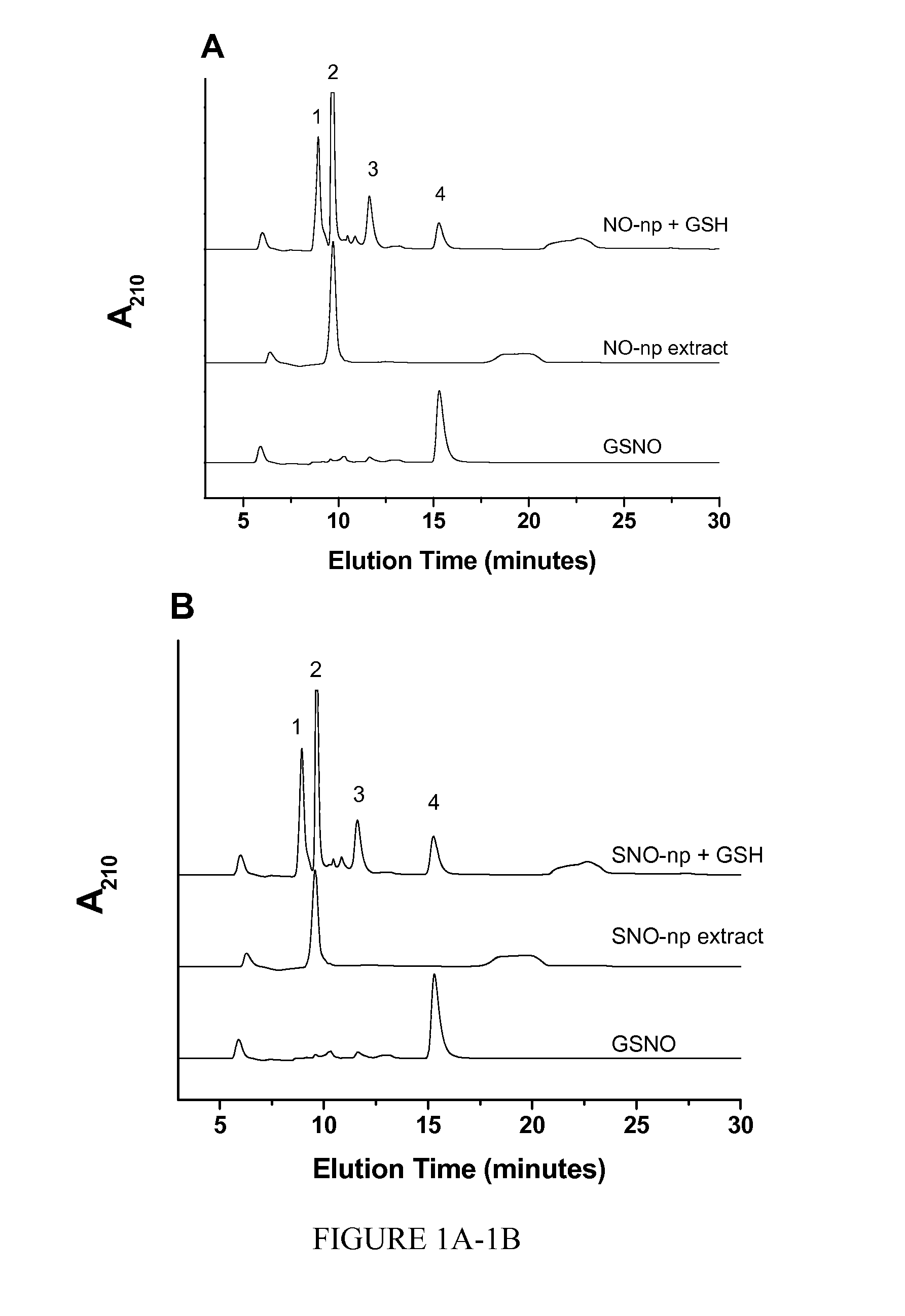 Nanoparticle delivery vehicle for s-nitroso-n-acetyl cysteine and uses thereof