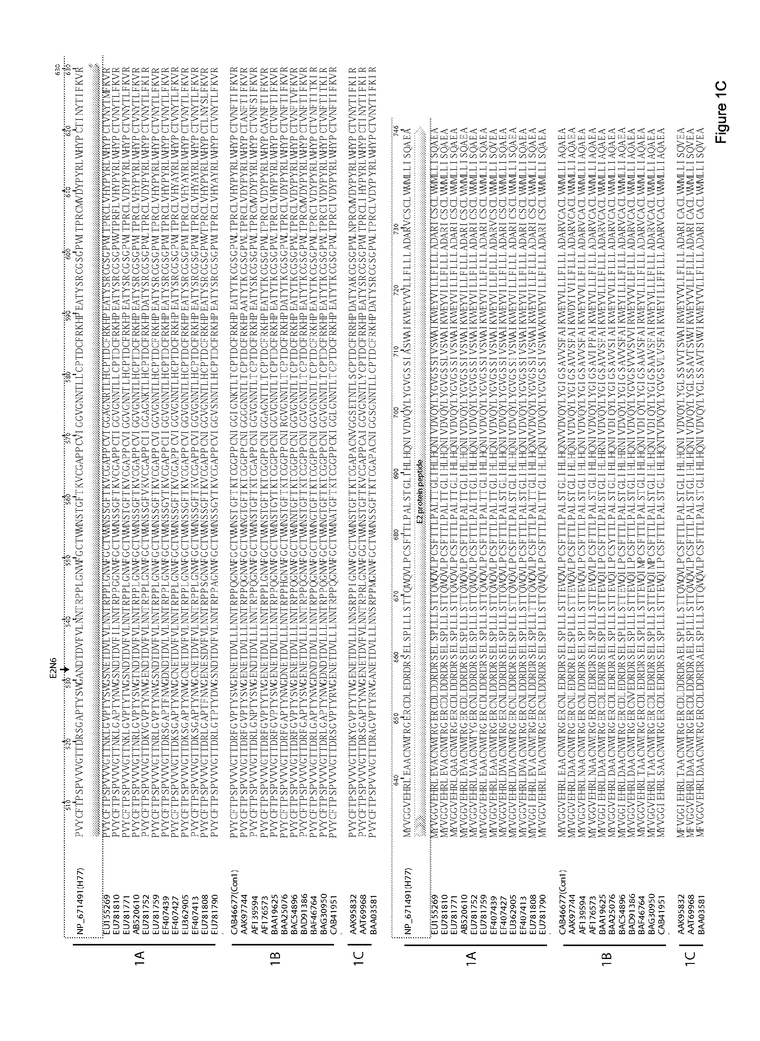 E1e2 hcv vaccines and methods of use