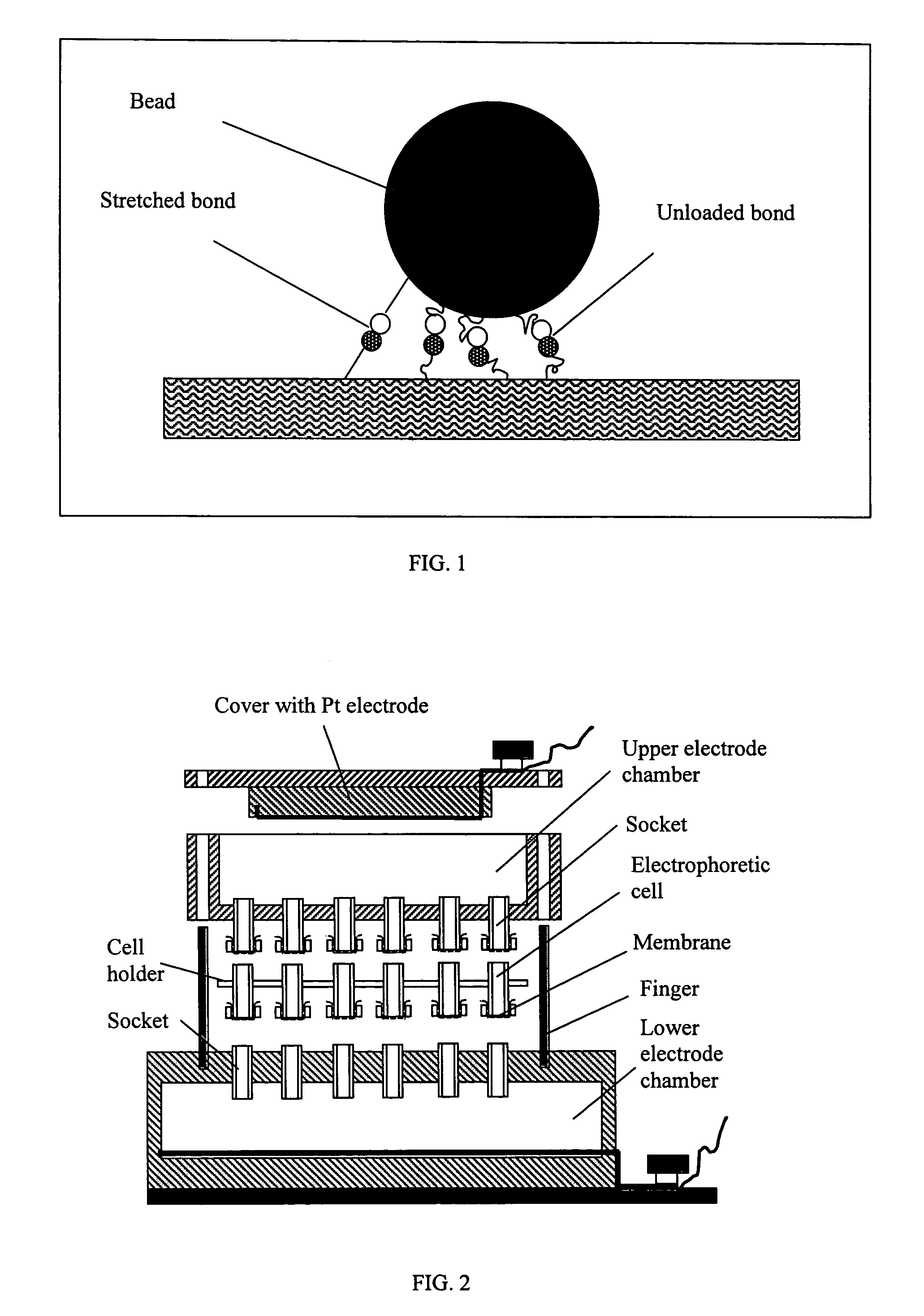 Methods and devices for active bioassay