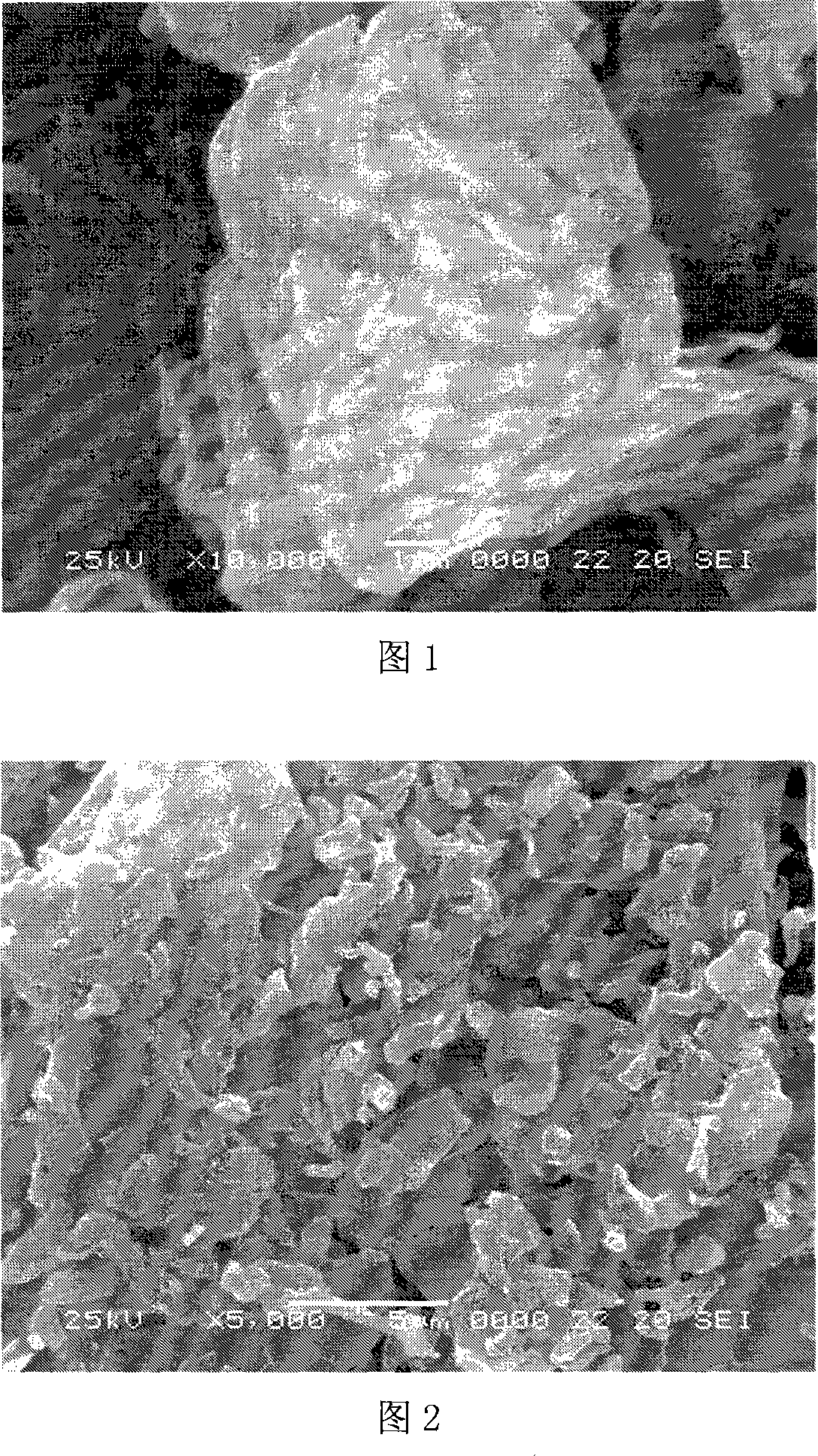 Method for preparing sheet-like microcrystal cellulose and modification processing method