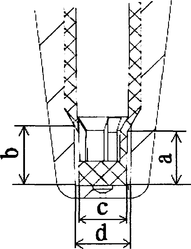 Liquid medicine sprayer