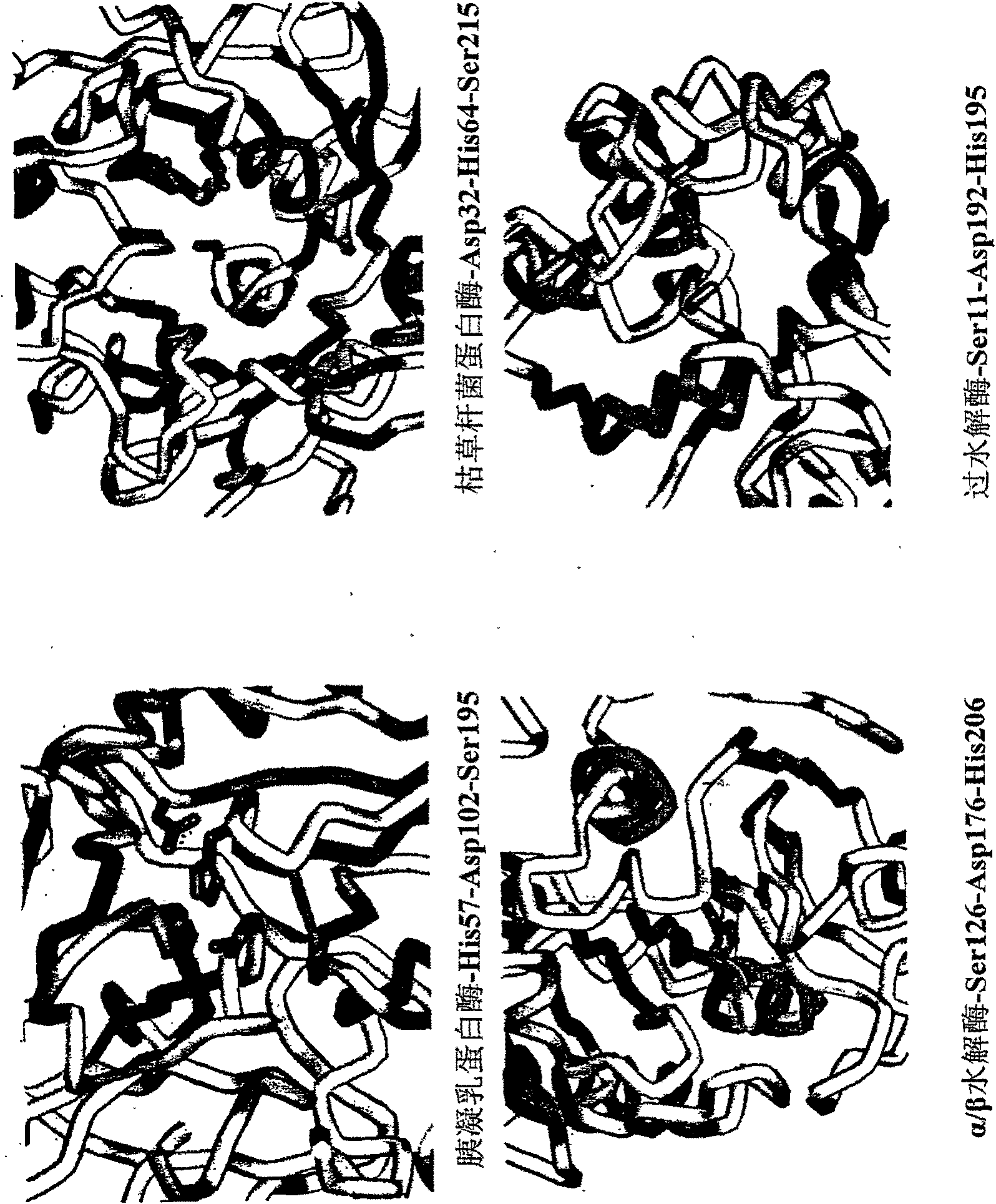 Perhydrolase enzyme