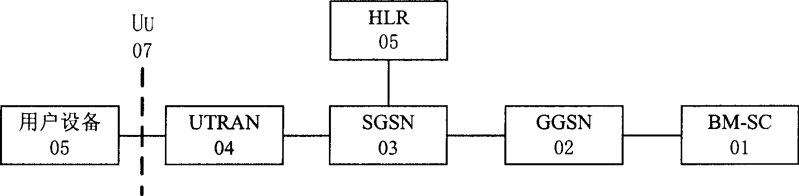 Service transmission carrier and MBMS service realizing method