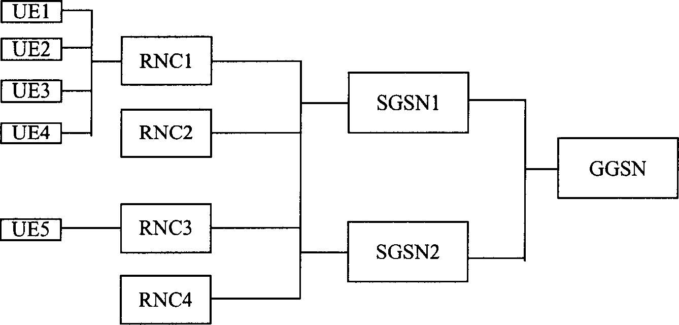 Service transmission carrier and MBMS service realizing method