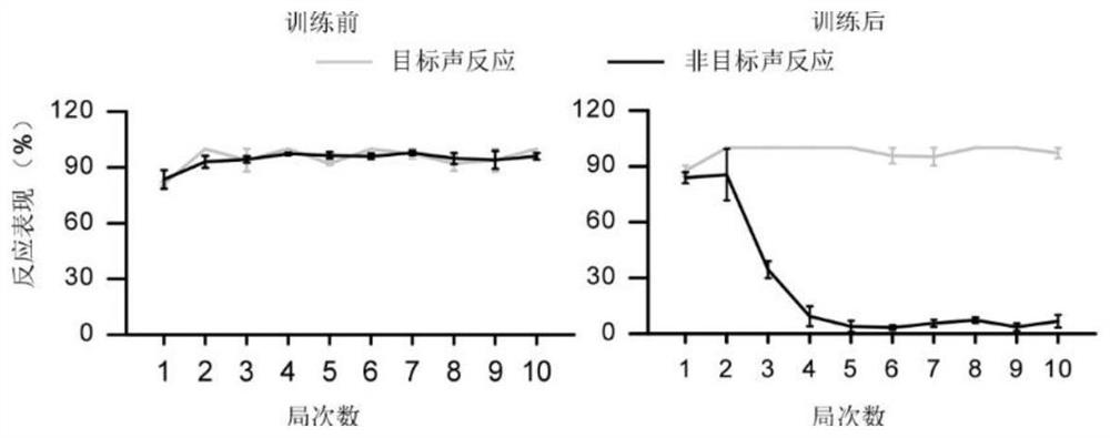 Perception training device and method for auditory cortex plasticity based on painless training stimulation and application