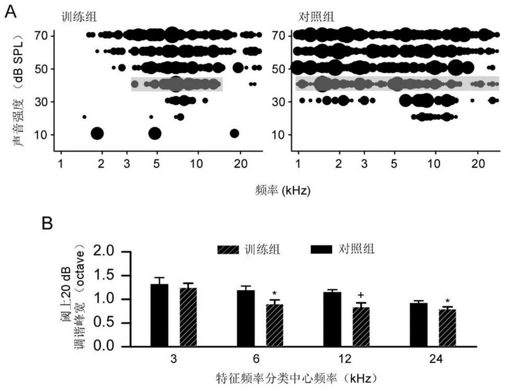 Perception training device and method for auditory cortex plasticity based on painless training stimulation and application