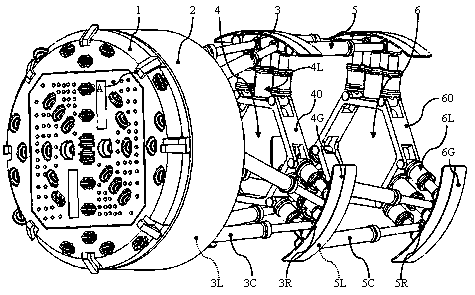 A fully automatic tbm excavation device with double hexapod thrusters and double tripod supports