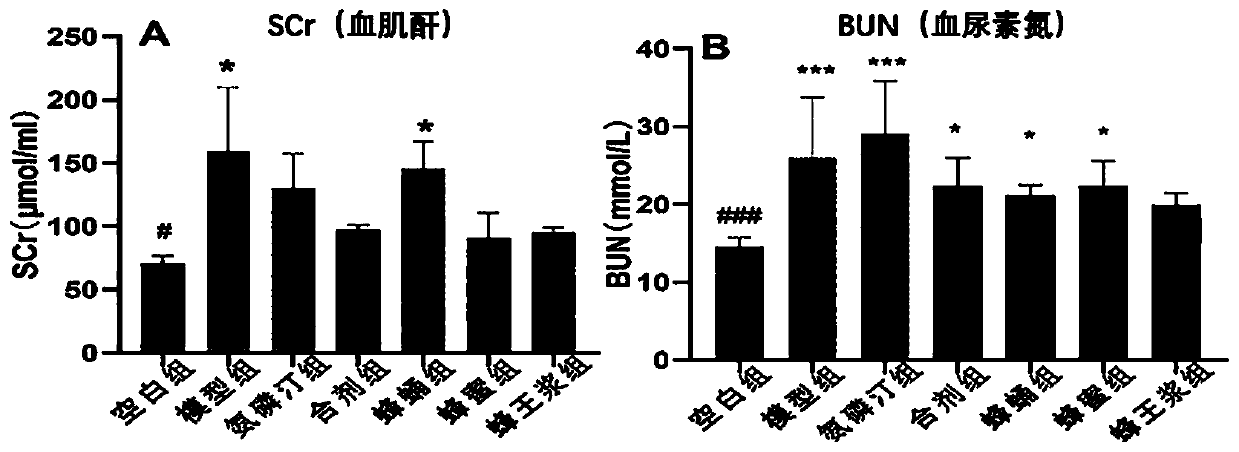 Kidney-protecting bee mixture formula and application thereof