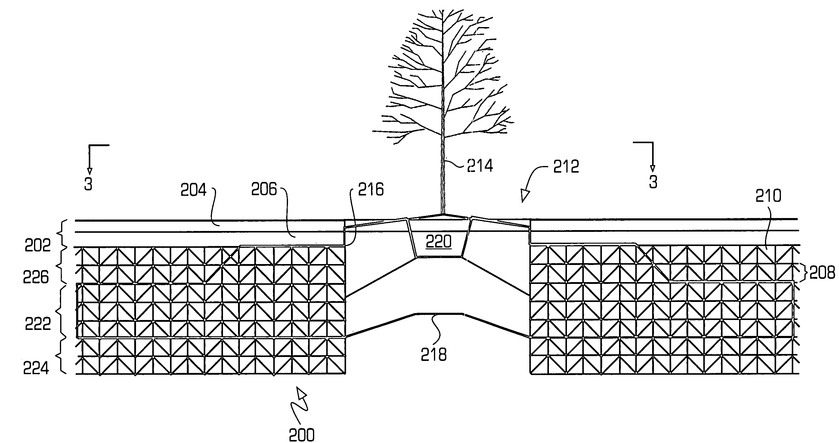 Integrated tree root and storm water system