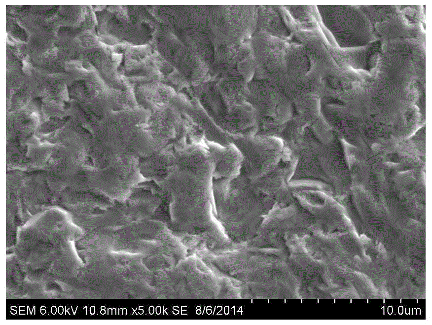 Texture pretreatment method for diamond wire cut polycrystalline silicon wafer, texturing pretreated silicon wafer and application thereof