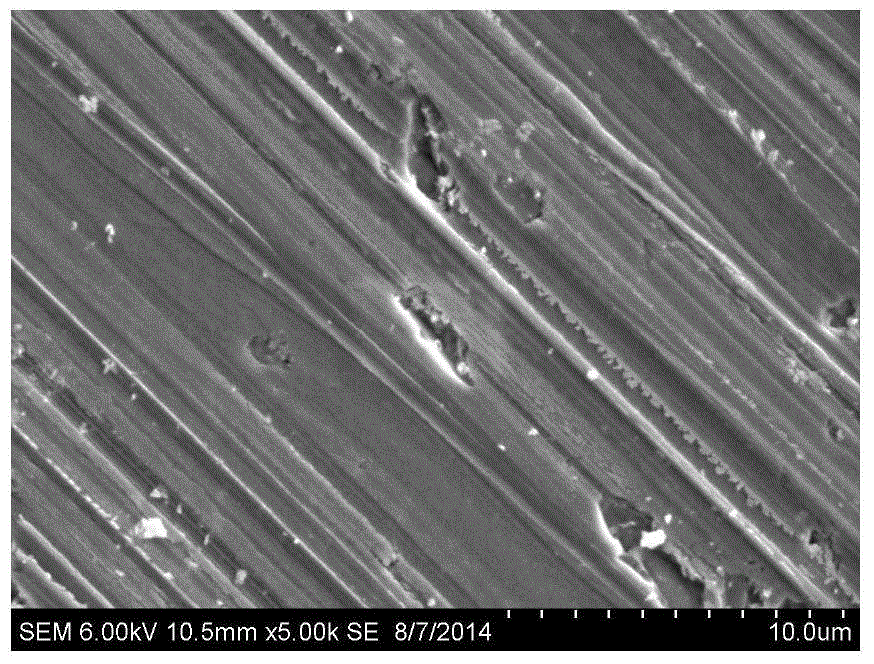 Texture pretreatment method for diamond wire cut polycrystalline silicon wafer, texturing pretreated silicon wafer and application thereof