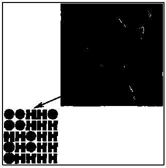 Halftone information dual anti-fake method for microstructure websites