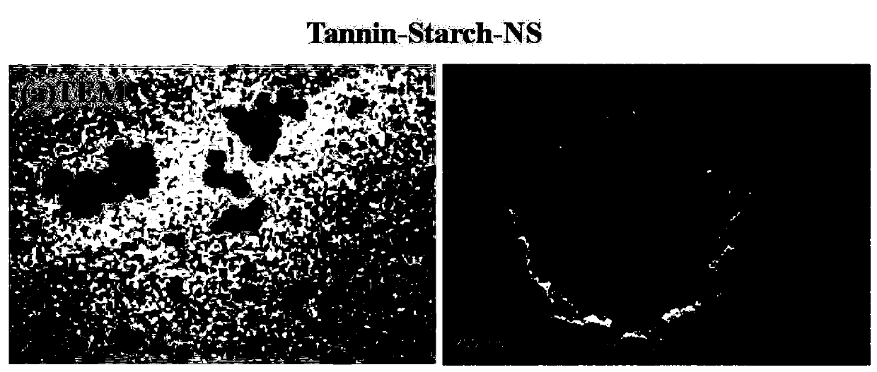 Preparation method of tannic acid modification-based leaf surface affiliative pesticide nano microcapsules