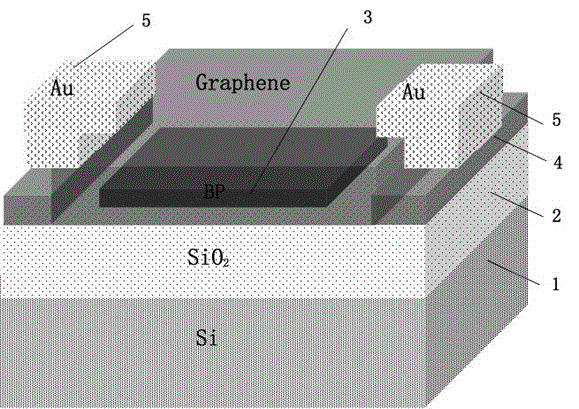 Graphene-phosphorus heterojunction photodetector and manufacturing method