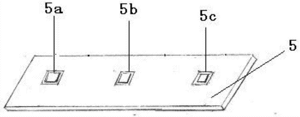 Method for detecting group B streptococcus infections
