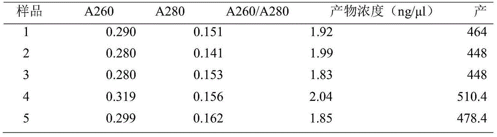 Method for extracting total RNA from mature grape fruits
