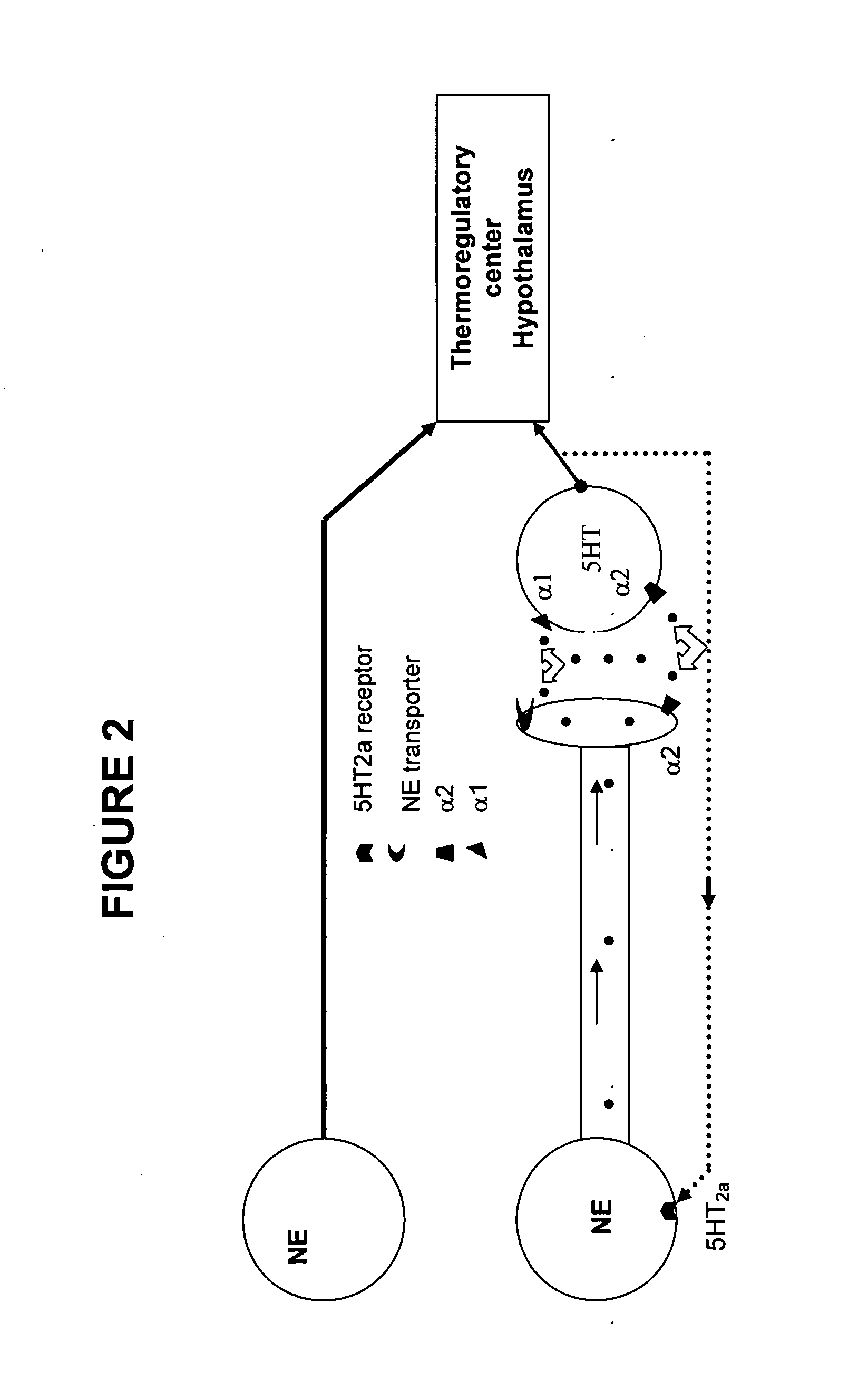 Method for treating nervous system disorders and conditions