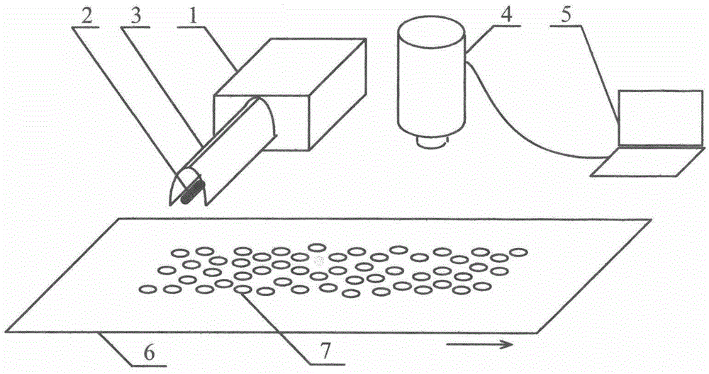 Food foreign matter detection apparatus