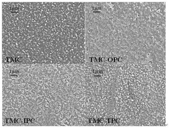 A linear-crosslinked multi-component copolymerized polyamide reverse osmosis membrane for seawater desalination and its preparation method