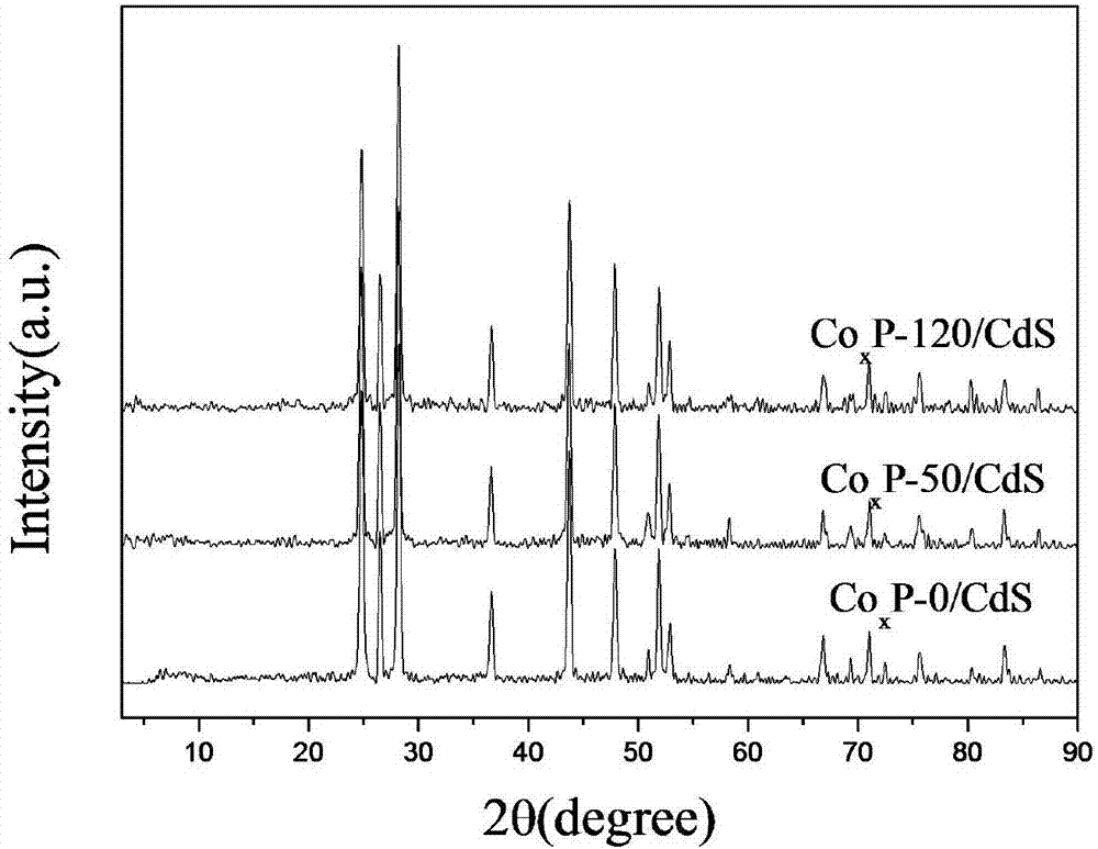 Simple and convenient preparation method of irregular cobalt phosphide/cadmium sulfide nanorod composite catalyst