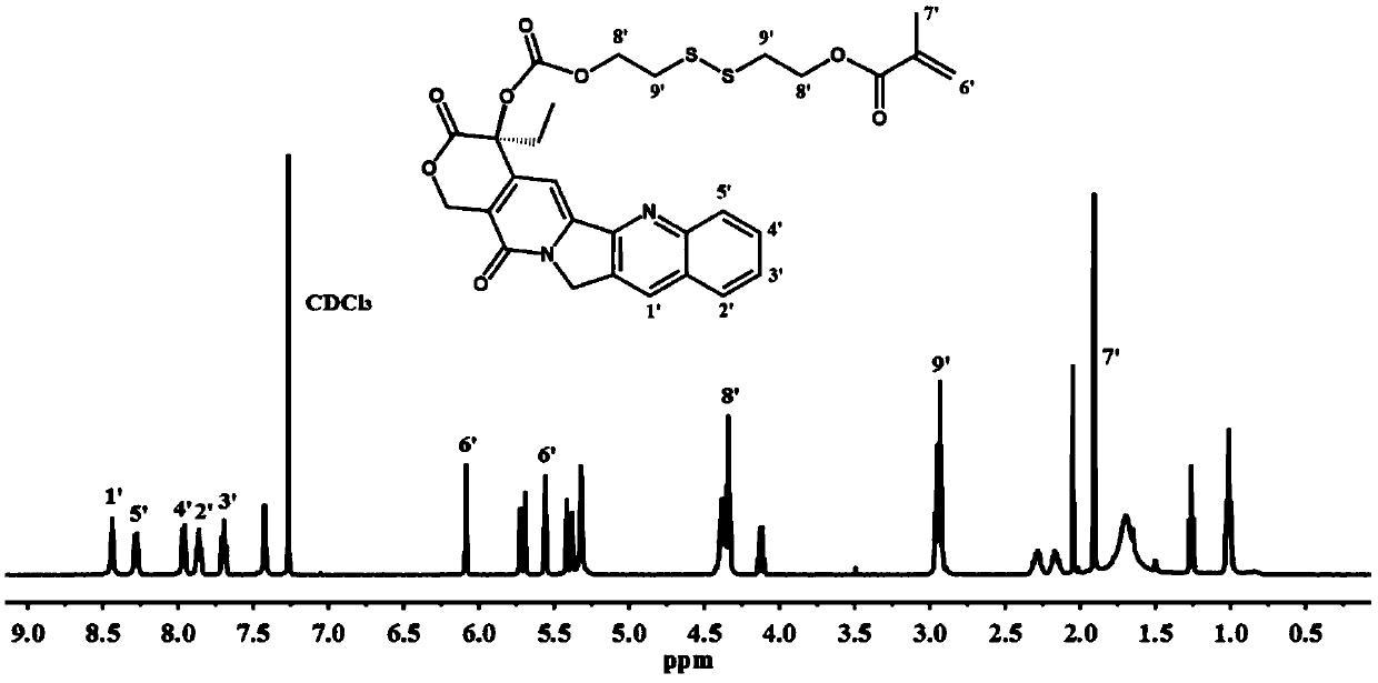 Camptothecin prodrug gel, and preparation method and use thereof