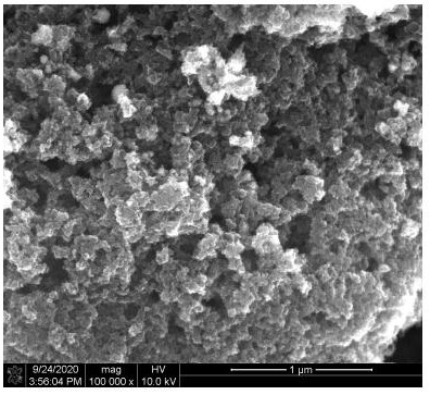 Polymer-modified composite positive electrode for lithium-sulfur battery and preparation method of composite positive electrode