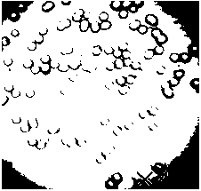 A kind of preparation method of hydrophobic lipophilic polymer composite microsphere