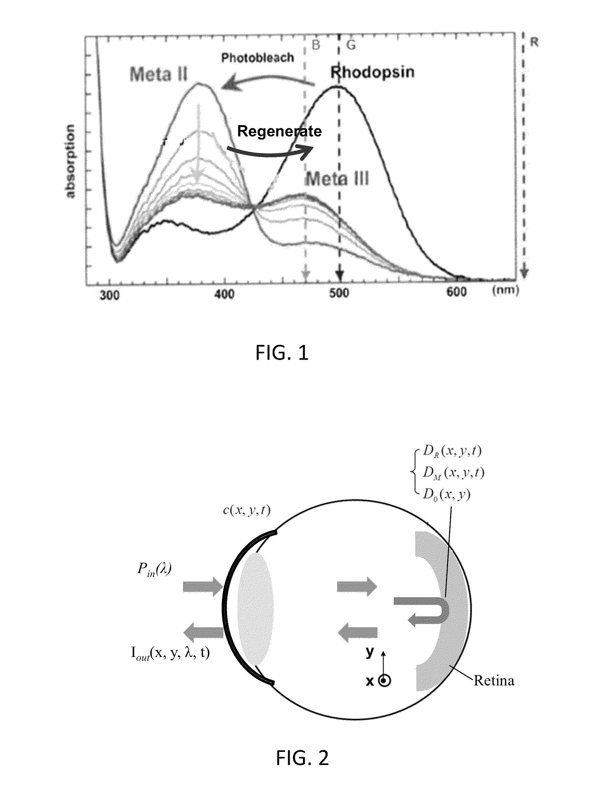 Systems and methods for noninvasive analysis of retinal health and function