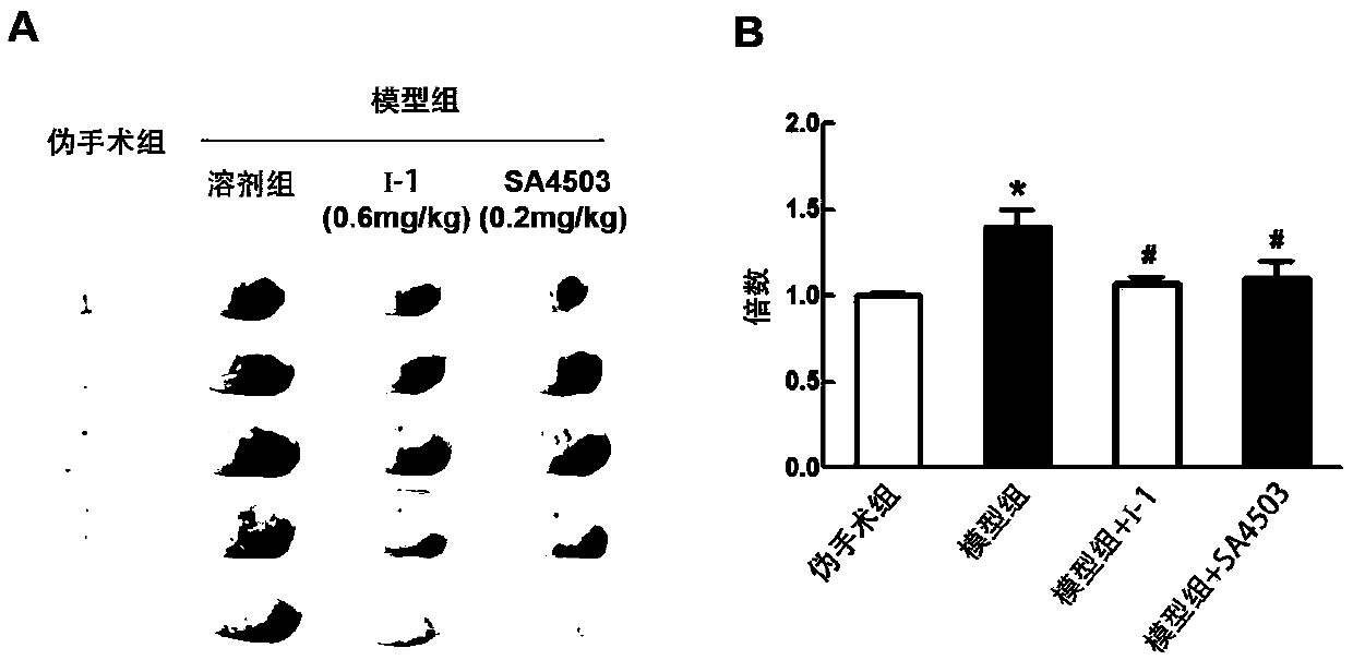 1-benzhydryl-4-methylpiperazine compound and its preparation method and application