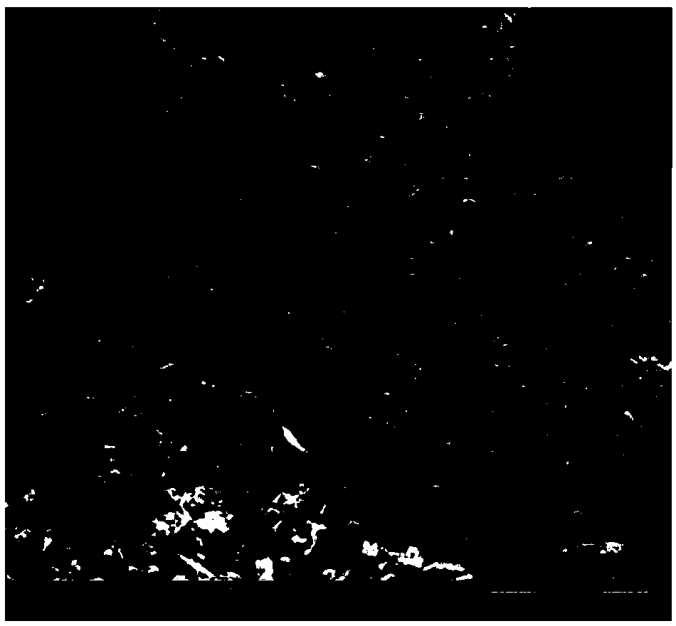 Polymer and nitrogen-doped carbon nanotube co-modified nickel-cobalt-manganese cathode material and preparation method thereof