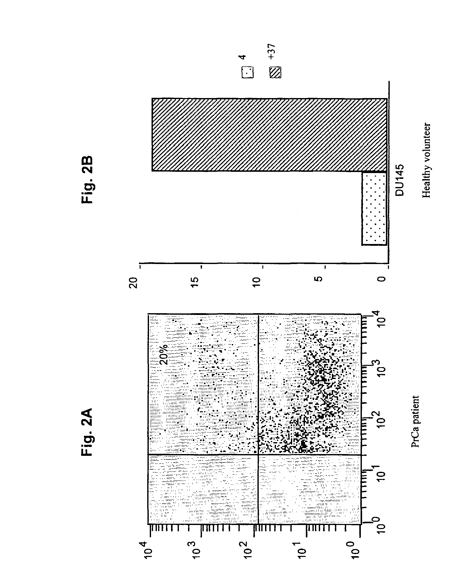 Use of allogeneic cell lines to load antigen presenting cells to elicit or eliminate immune responses