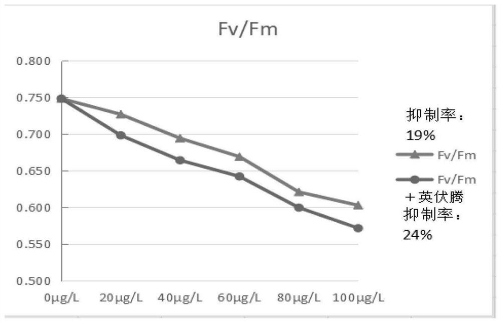 Method for fluorescence detection of biotoxicity of atrazine by using chlorella pyrenoidosa